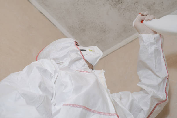 Best Mold Odor Removal Services  in Awendaw, SC