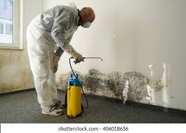 Mold Documentation for Insurance Claims